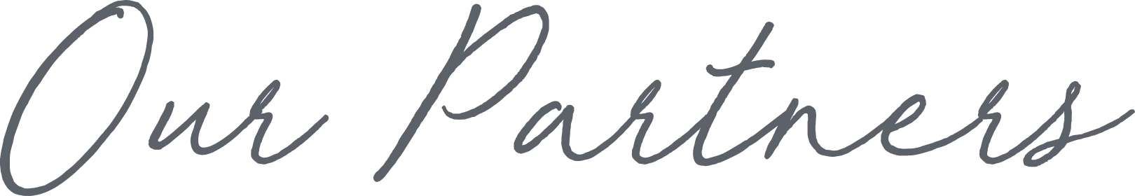 Our Partner